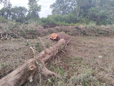 Fragility of nature bows to infrastructure