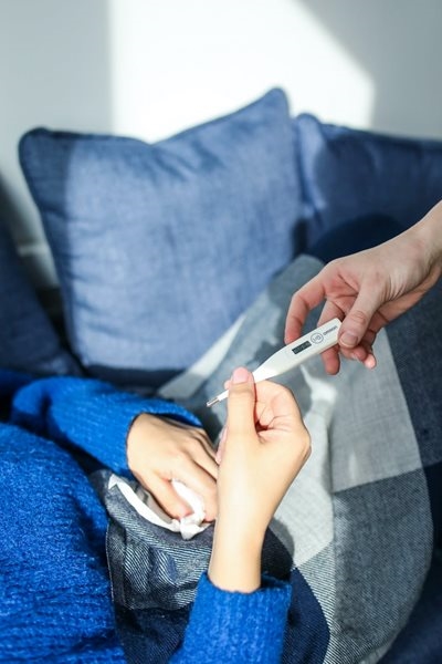 Garden Route Municipalities not affected by Typhoid Fever