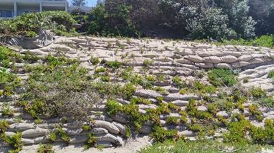 Dune encroachment remedy ‘voluntary’