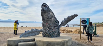 It's a whale of a trash can in Plett