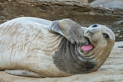 Columbo spends World Oceans Day at Vic Bay