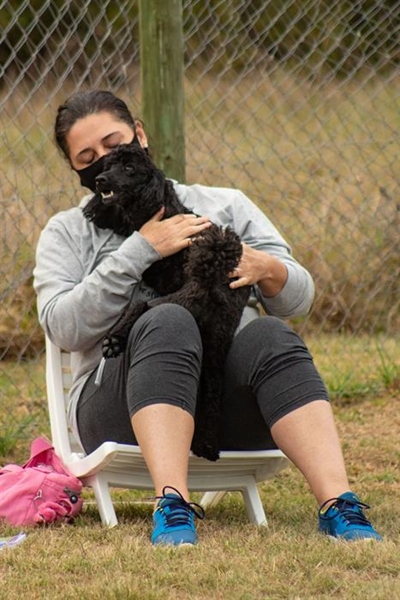 Teaching all dogs new tricks