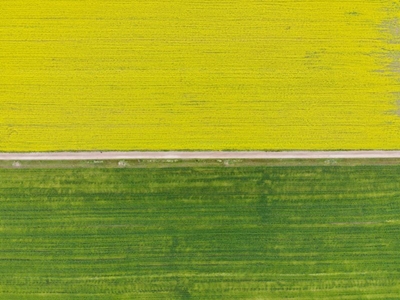 Plant biofuels no silver bullet for carbon sequestration