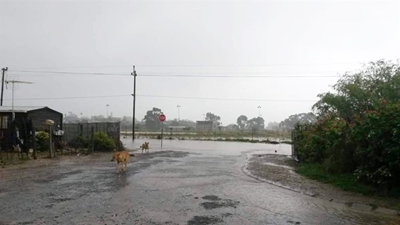 Stormreën rig groot skade aan