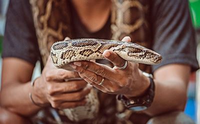Common irrational fears and phobias 
