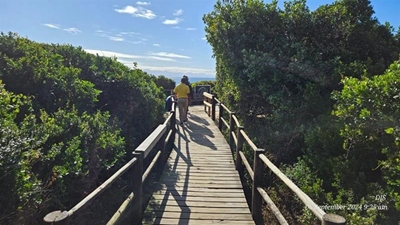 Bitou beach accesses get TLC