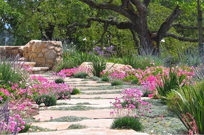 Get in touch with your garden
