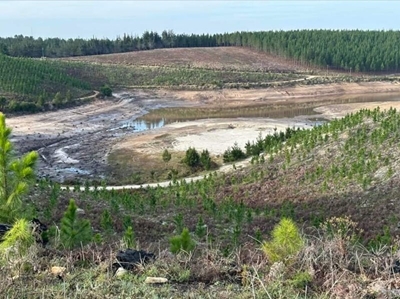 Knysna supply dam running dry
