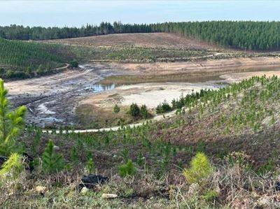 Knysna supply dam running dry