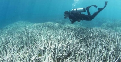 Outlook for Great Barrier Reef downgraded to ‘very poor’
