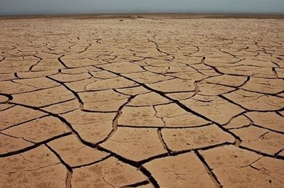 New UN agreement aims to stem the tide of desertification