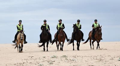 Support horse patrols this season