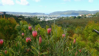New grant for Pledge Nature Reserve