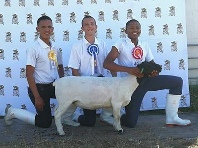 Hoër Landbouskool Oakdale presteer by jeugskou
