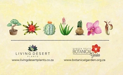 Enjoy the Garden Route’s most exotic plant party this weekend