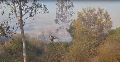Wildfire Update: Aasvoëlberg, Albertinia 