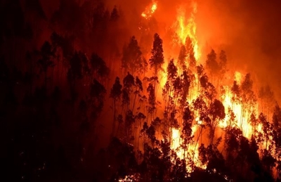  Row over Knysna fires in 2017 flares up again