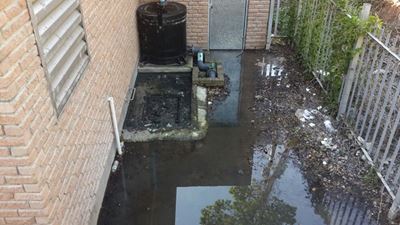 Vicbaaier kla oor riool op strand uitloop