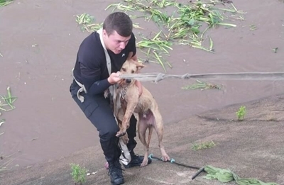 Tactical officer dives into Merebank Canal to rescue dog