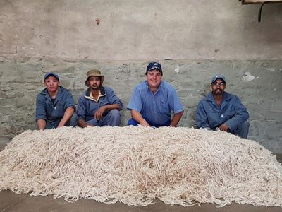 Award for local mohair producers