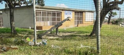 Mdantsane residents close down ANC ward councillor’s office
