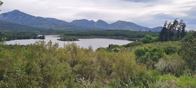 Impact of visitors on water usage not too severe