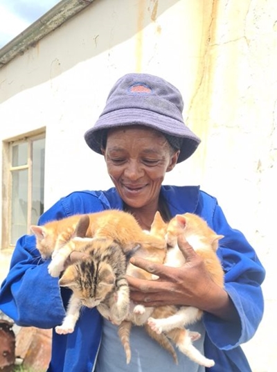 No more kittens galore 