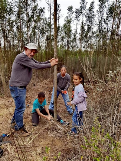 Black wattle tackled at Garden Route Dam
