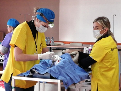 Thousands of cats and dogs saved at successful Touwsranten spayathon