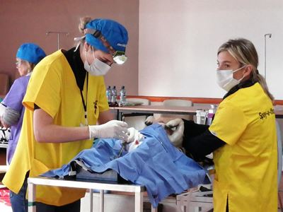 Thousands of cats and dogs saved at successful Touwsranten spayathon