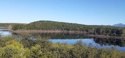 Garden Route Dam level update