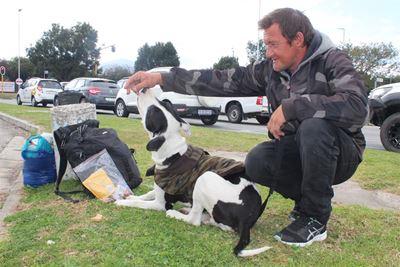 Nuwe tuiste vir Haman en Titan