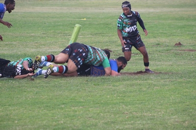 Seagulls los beste vir laaste