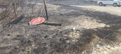 Brand woed buite beheer naby Heidelberg