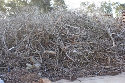 Development of a strategic framework for an alien and invasive biomass economy