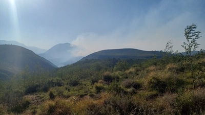 Garden Route Wildfires Update: Bitou Municipal Area on 23 June 2024 @ 18h00