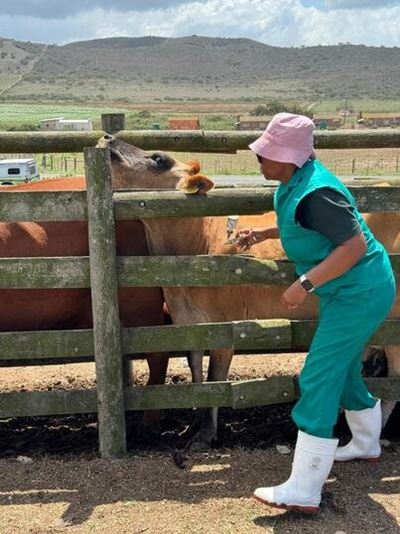 New cases of foot-and-mouth disease suspected