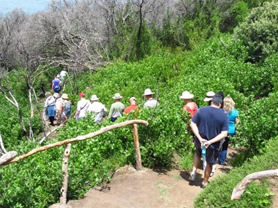 Flora, fauna flourishing