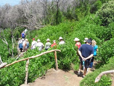 Flora, fauna flourishing