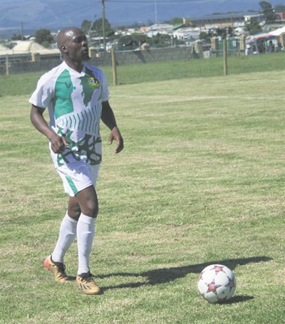 Oriented Birds hold Spurs in Cape Town