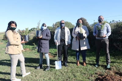 First 100 trees planted at sewer works