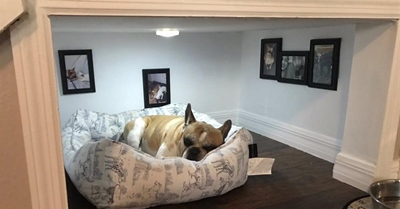Renovations to keep your pets warm this winter