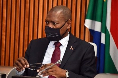 Digital Vibes: DA calls for criminal probes against Mkhize, health officials