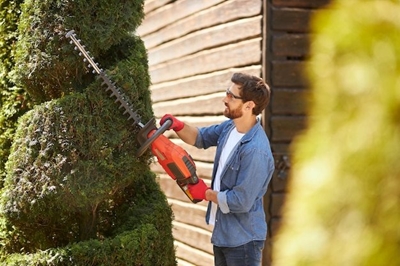 Sharp advice: Master the art of hedge trimming