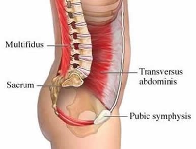 Core muscles play a huge role