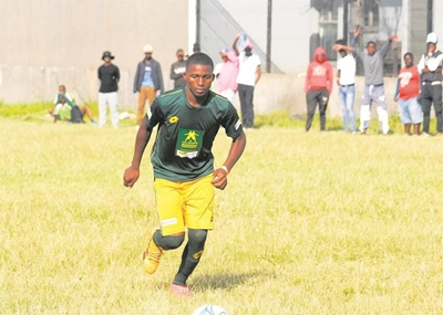 From Plettenberg Bay to the big leagues