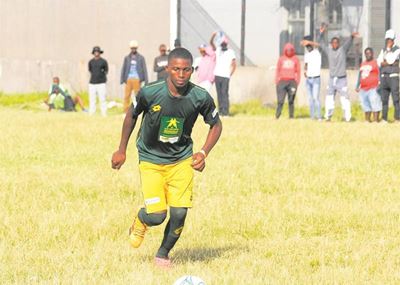 From Plettenberg Bay to the big leagues