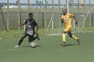 Cats prepare to pounce for top spot