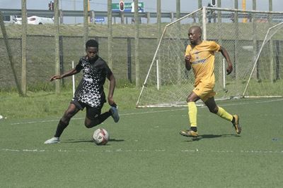 Cats prepare to pounce for top spot