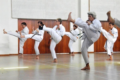 Karate students seminar